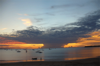 Sailing Cub Darwin   |    Photo: RBerude